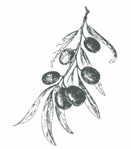 Rigo D’Oro un olio EVO di alta qualità