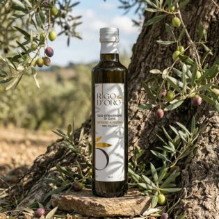 Bottiglia Rigo D'Oro 100% Italiano su una base di legno fra rami di ulivo con olive verdi e scure