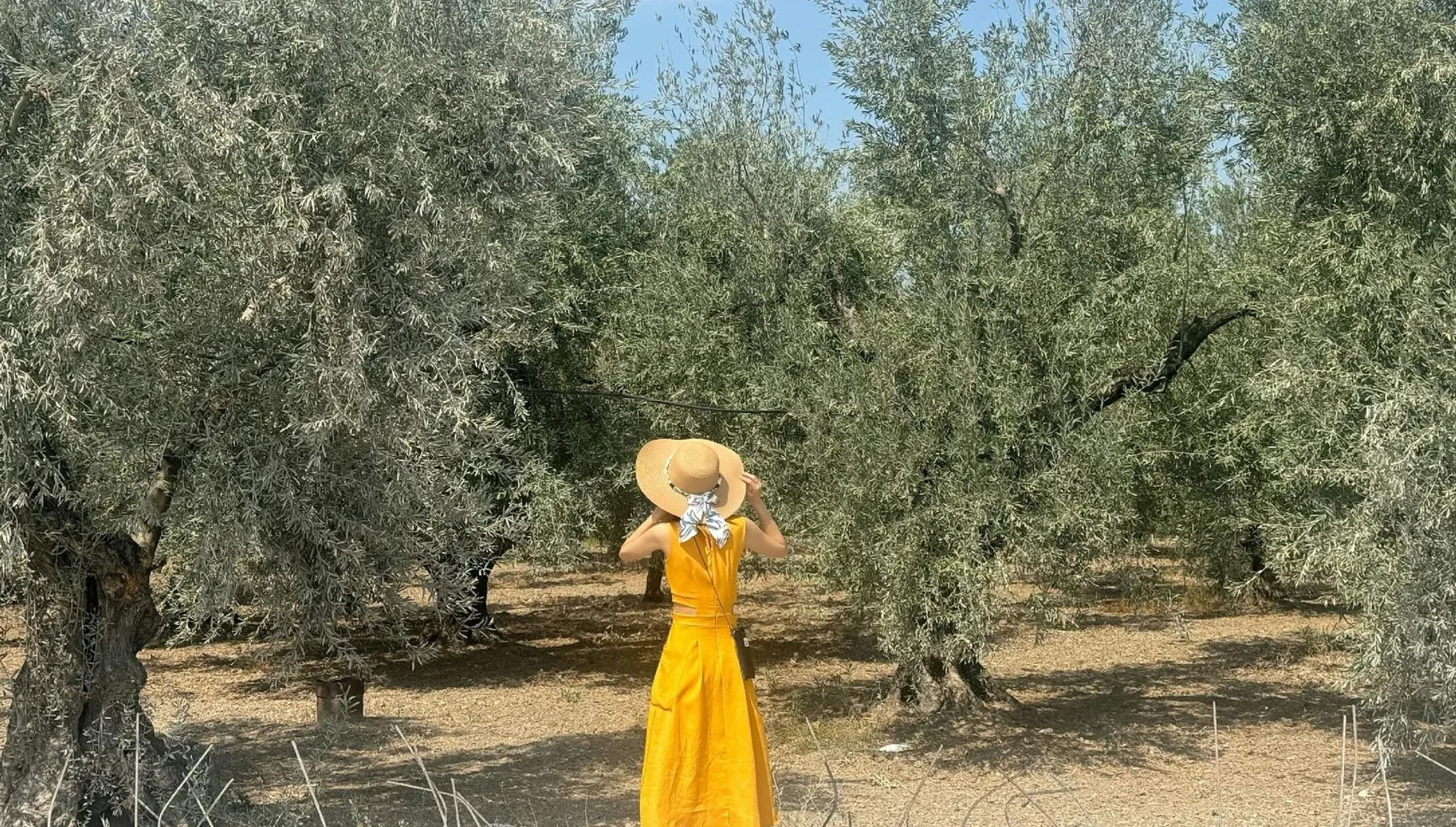 Donna con cappello di paglia e vestito giallo che cammina fra alberi di ulivo