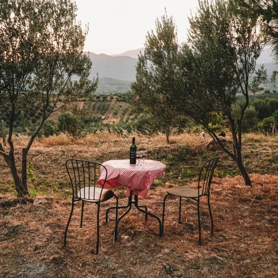 Tavolino rotondo con tovaglia rosa e due sedie tra gli alberi di ulivo in campagna